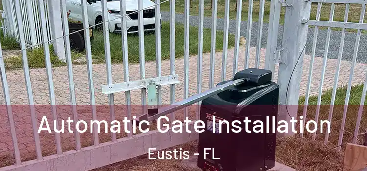  Automatic Gate Installation Eustis - FL