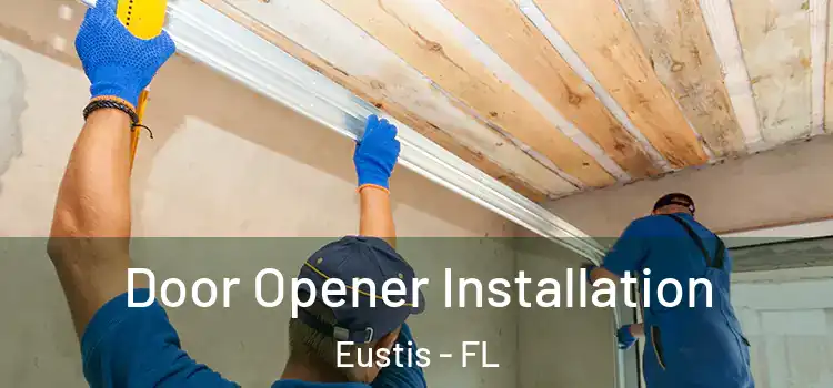  Door Opener Installation Eustis - FL