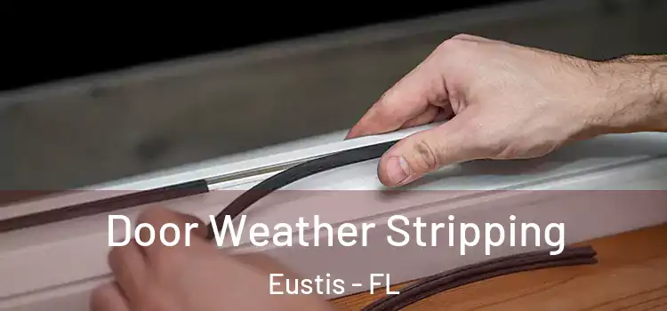  Door Weather Stripping Eustis - FL