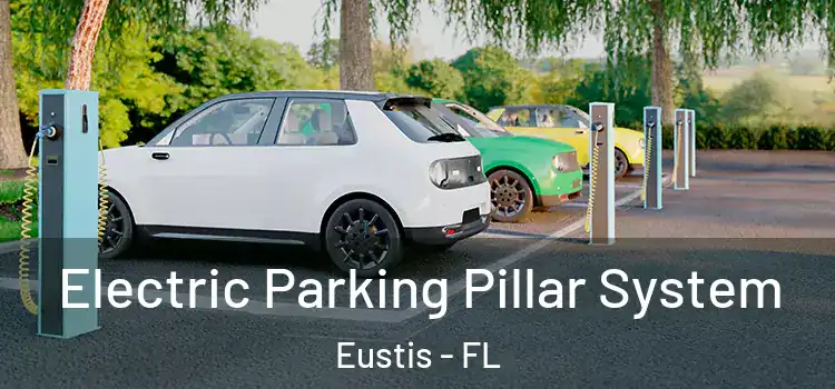  Electric Parking Pillar System Eustis - FL