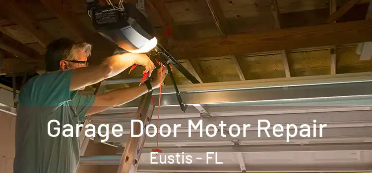  Garage Door Motor Repair Eustis - FL