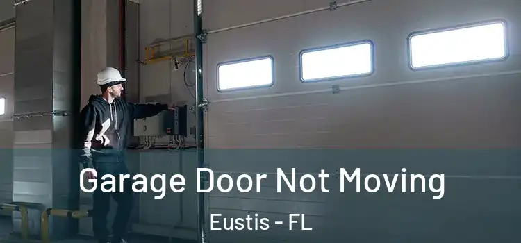  Garage Door Not Moving Eustis - FL