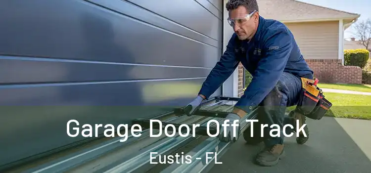  Garage Door Off Track Eustis - FL