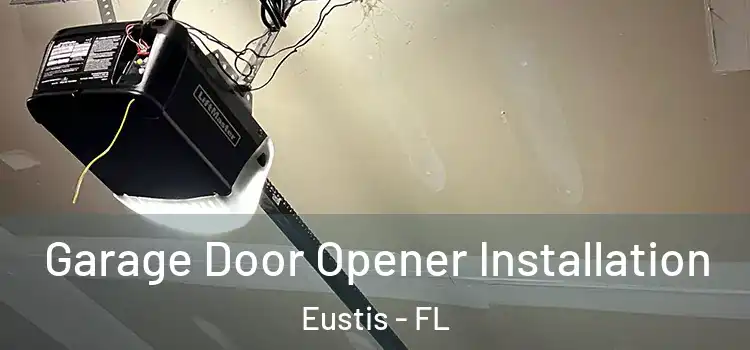  Garage Door Opener Installation Eustis - FL