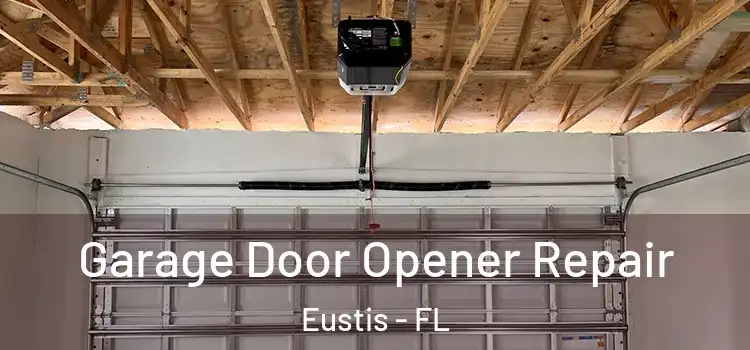  Garage Door Opener Repair Eustis - FL