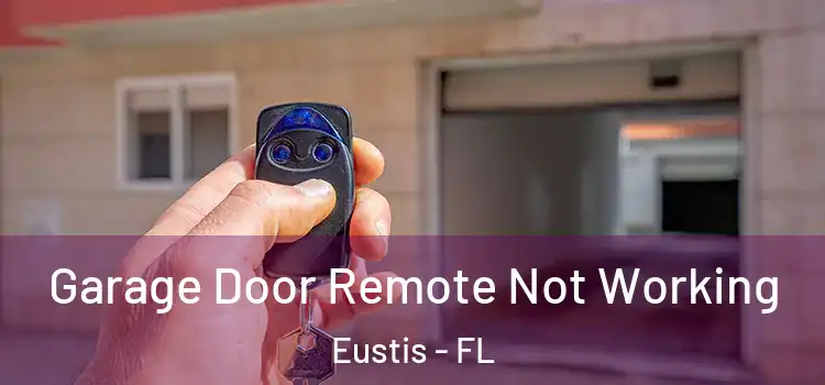  Garage Door Remote Not Working Eustis - FL