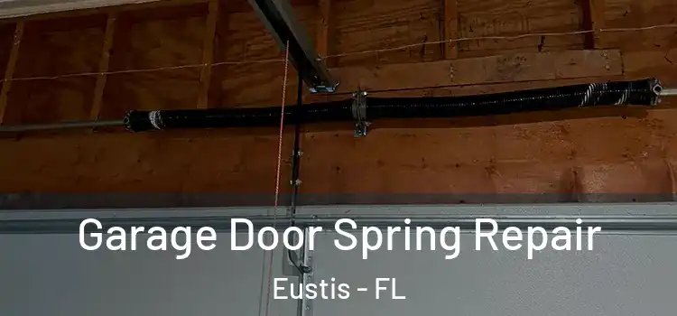  Garage Door Spring Repair Eustis - FL