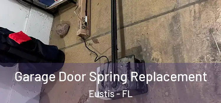  Garage Door Spring Replacement Eustis - FL