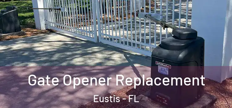 Gate Opener Replacement Eustis - FL
