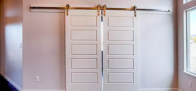 Glass Barn Door with Installation Hardware Kit Eustis