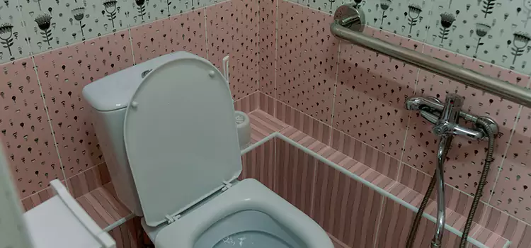 Meeting Diverse Needs With Accessible Restroom Solutions in Eustis, FL