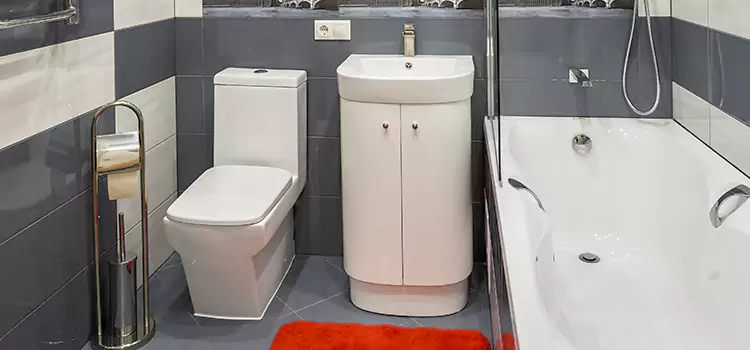 Hansgrohe Shaving Mirror Eustis