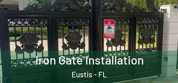 Iron Gate Installation Eustis - FL