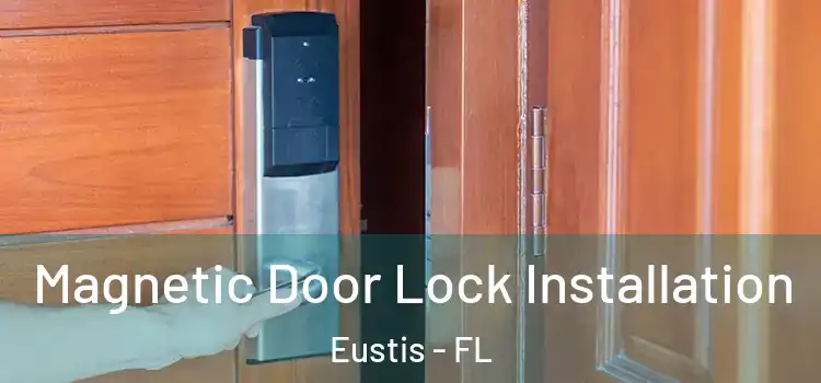  Magnetic Door Lock Installation Eustis - FL