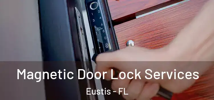  Magnetic Door Lock Services Eustis - FL