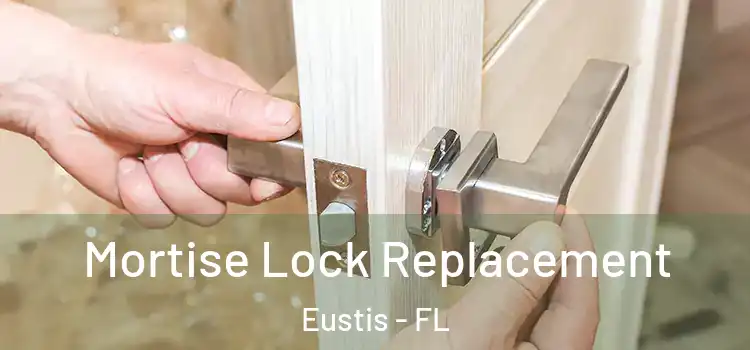 Mortise Lock Replacement Eustis - FL