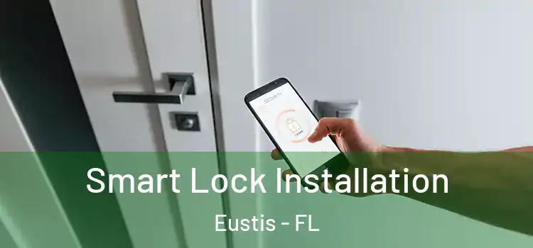  Smart Lock Installation Eustis - FL